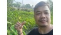Kèo thơm 1212m2 Mặt Tiền Quốc Lộ 22 Phước Thạnh Củ Chi Hồ Chí MInh có 12 tỷ x