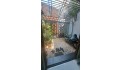 HOT! CHỦ KẸT TIỀN CẦN RA GẤP. DƯƠNG BÁ TRẠC DT: 67.5 M2 (3.9 X 17M) 4 T-4PN-CHỈ 6.7 TỶ