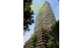 GIÁ TỐT - CHÍNH CHỦ Cần Bán Nhanh Căn Hộ chung cư Waterina Suites Phường Thạnh Mỹ Lợi, Thủ Đức