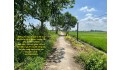 CHÍNH CHỦ bán nhanh lô đất vị trí đắc địa tại Xã Lý Nhơn, Huyện Cần Giờ, Tp Hồ Chí Minh