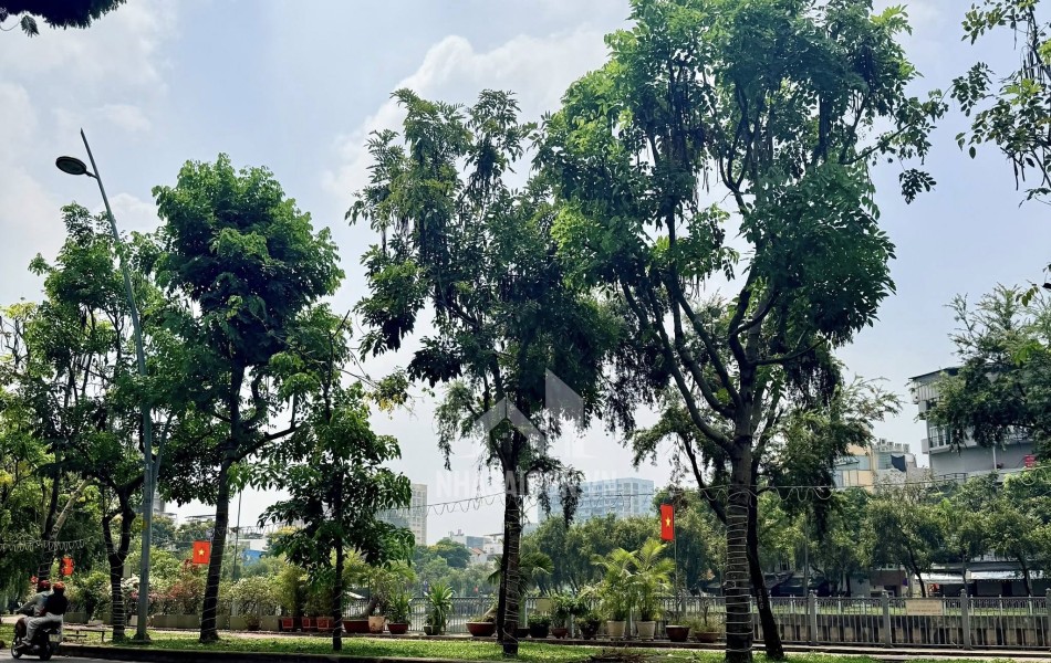 BÁNH NHÀ QUẬN 3, HẺM KINH DOANH TẠI TRỤC XUYÊN TÂM LÊ VĂN SỸ, 65M2, NGANG 6M BỀ THẾ - NHỈNH 8 TỶ.