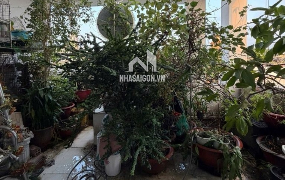 Hẻm xe hơi Nguyễn Trọng Tuyển - Phú Nhuận - 58m2 x 4 tầng BTCT - ngang 5m - 11 tỷ.