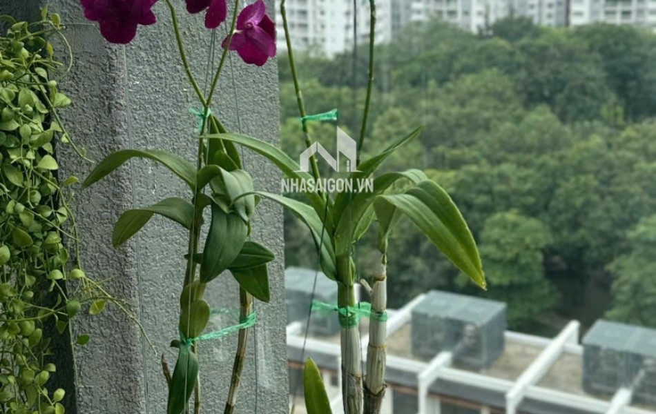 Bán căn hộ chung cư Celadon city khu Brilliant 142m