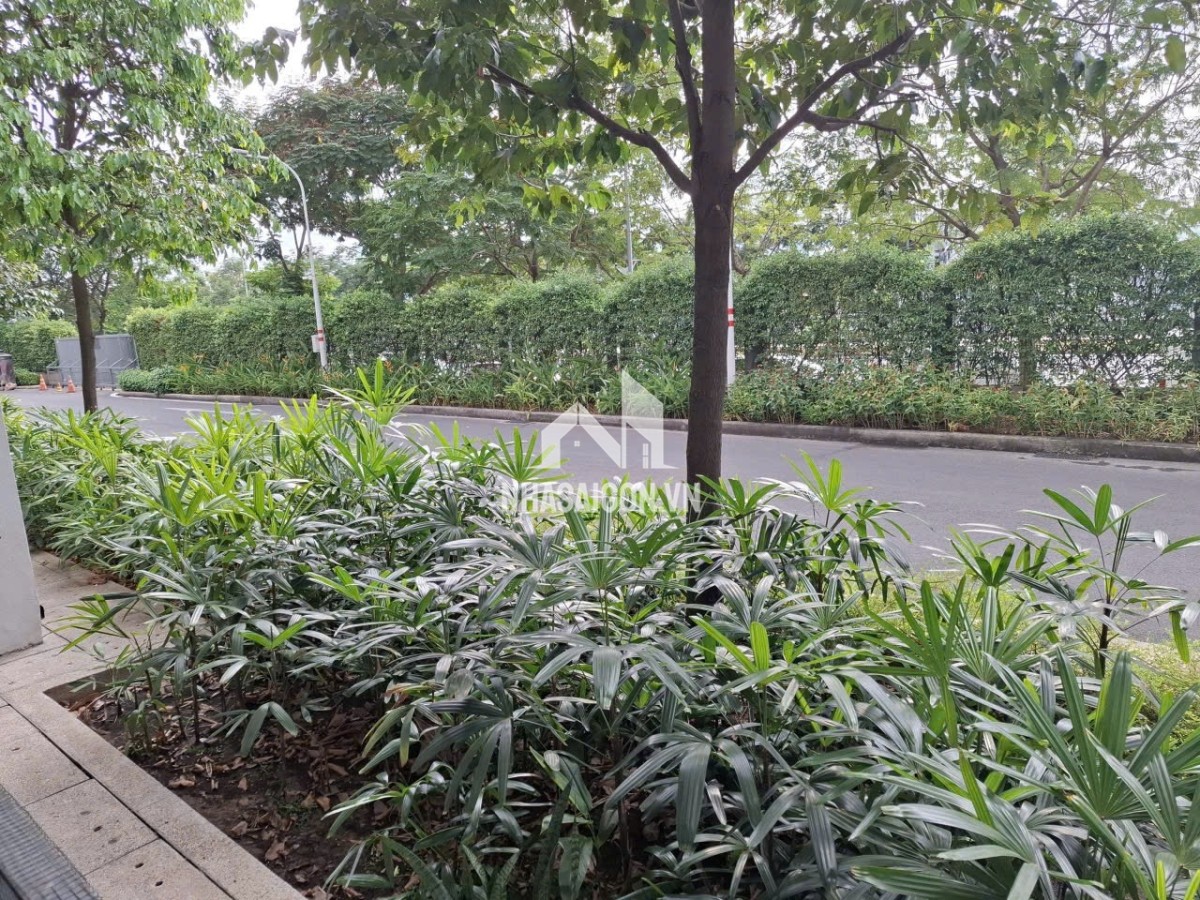 Cho thuê căn hộ chung cư celadon city khu emerald diện tích 53m 1pn1wc