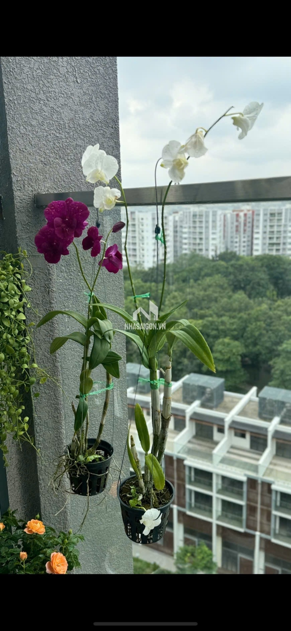Bán căn hộ chung cư Celadon city khu Brilliant 142m